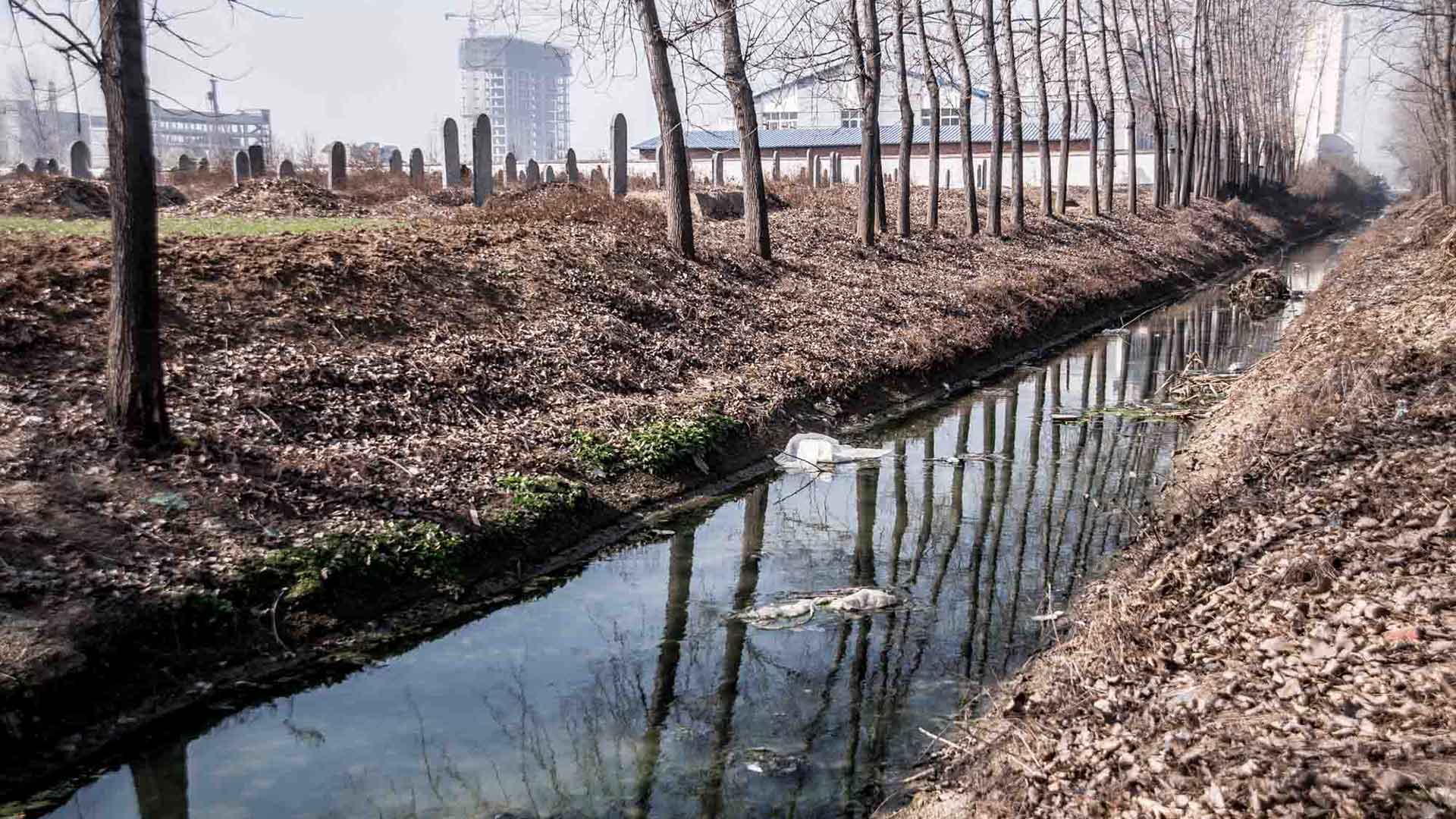 Polluted water in farmland